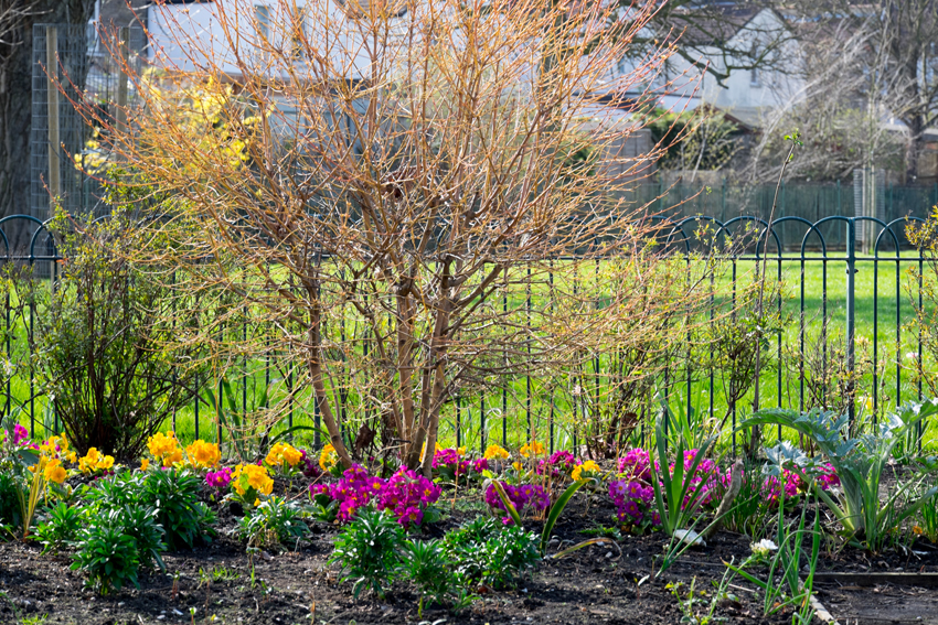 Thornton Heath Recreation Ground Community Garden