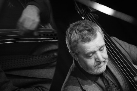 Dave Green - Jazz Double Bass