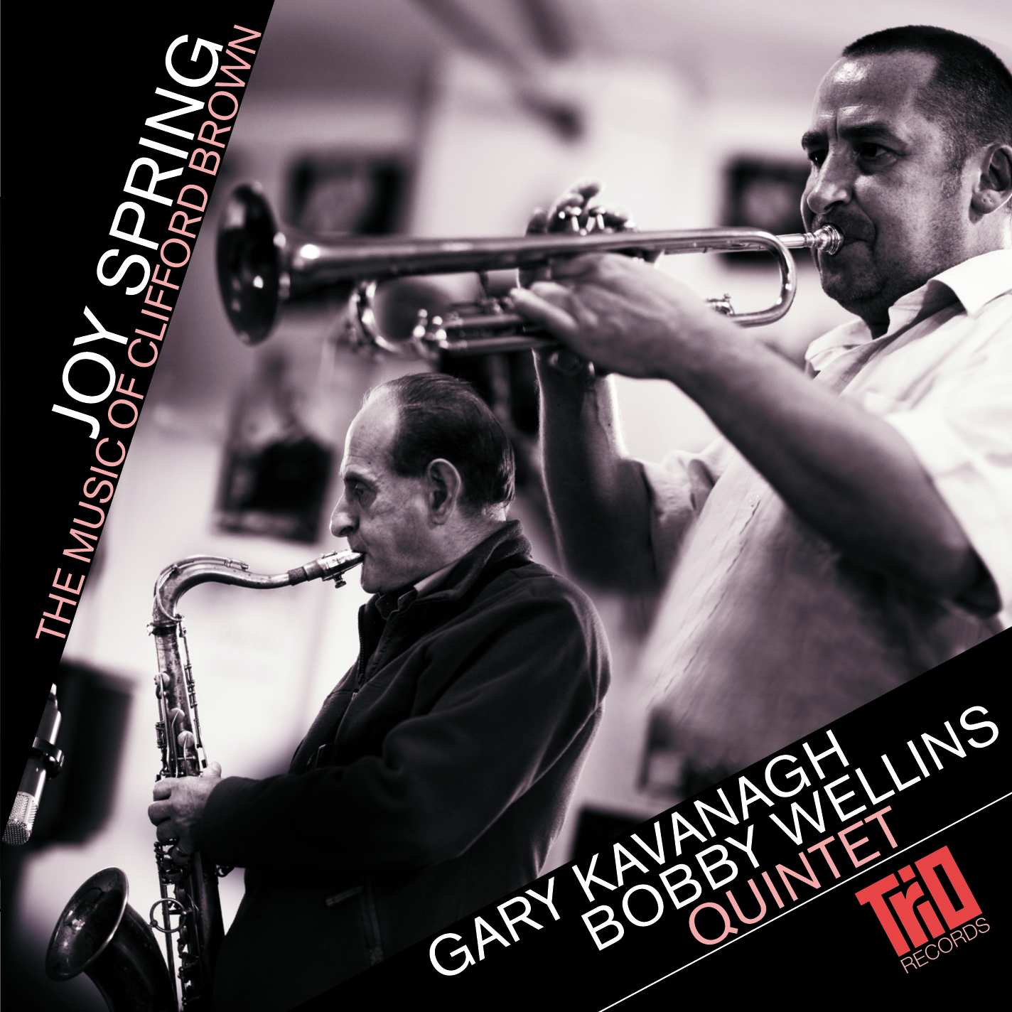 Joyspring by the Gary Kavanagh Bobby Wellins Quartet